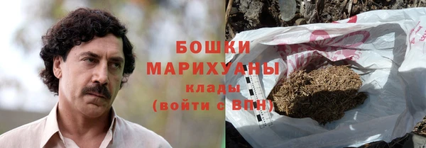 дживик Богданович