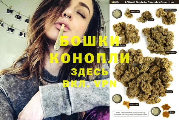 дживик Богданович
