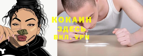 дживик Богданович