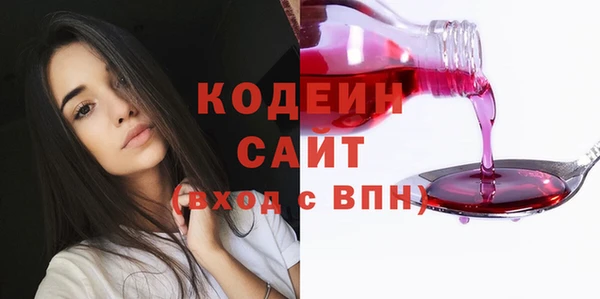 стаф Богородск