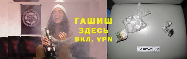 стаф Богородск