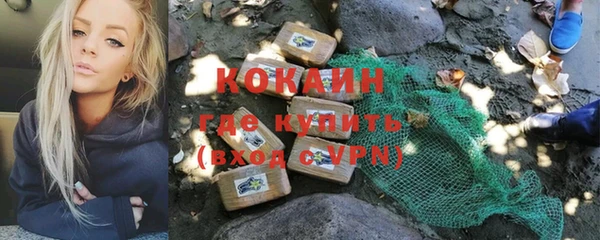стаф Богородск