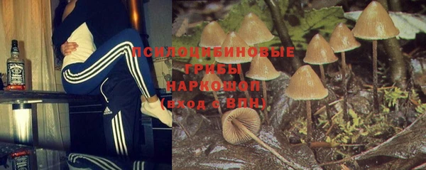 МДПВ Богородицк
