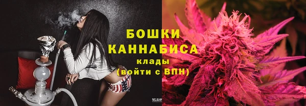 МДПВ Богородицк