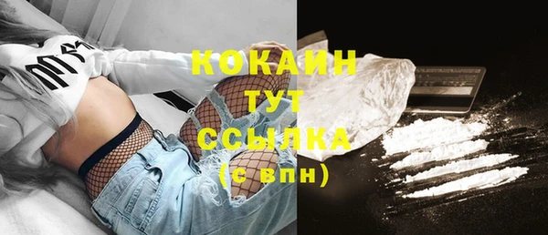 дживик Богданович