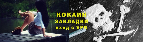 дживик Богданович
