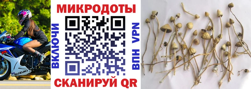 Псилоцибиновые грибы мицелий  Купить  Гремячинск 